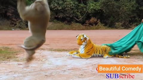 Monkey vs toy Tiger | PART-1