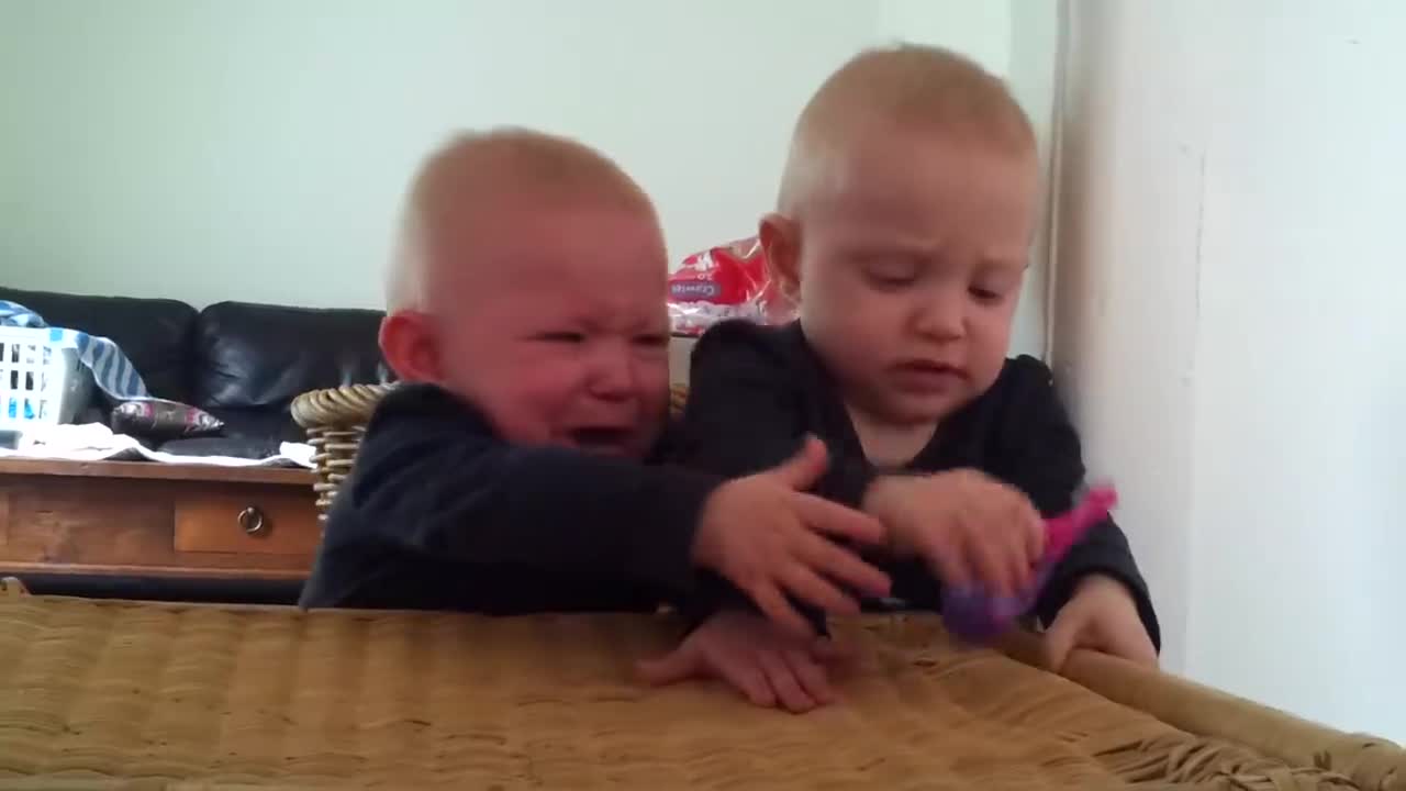Twin baby fighting for toothbrush