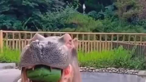 OMG 😱