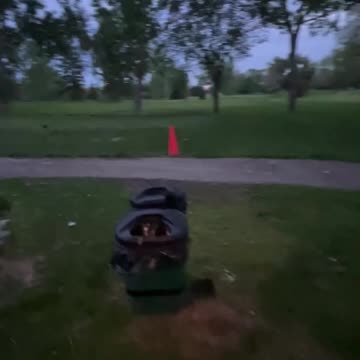 Where is the spider weaving its threads?