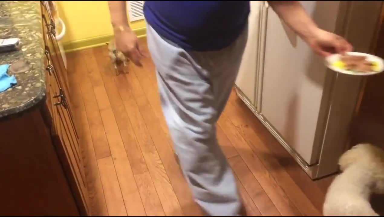 Dog rick likes to eat in the company of his friend