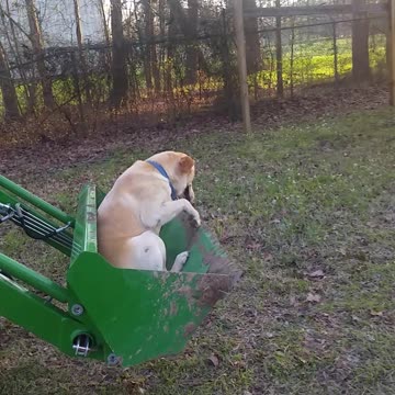 Take you for a ride on my big Green tractor