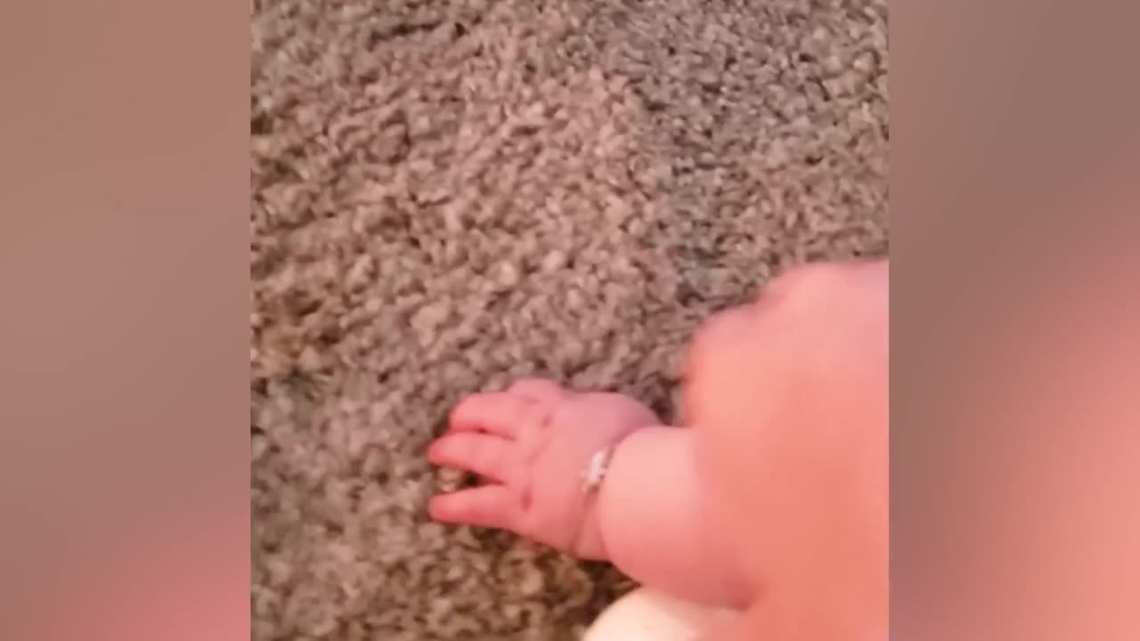 Funny Baby Videos - Adorable Chubby Baby Moments