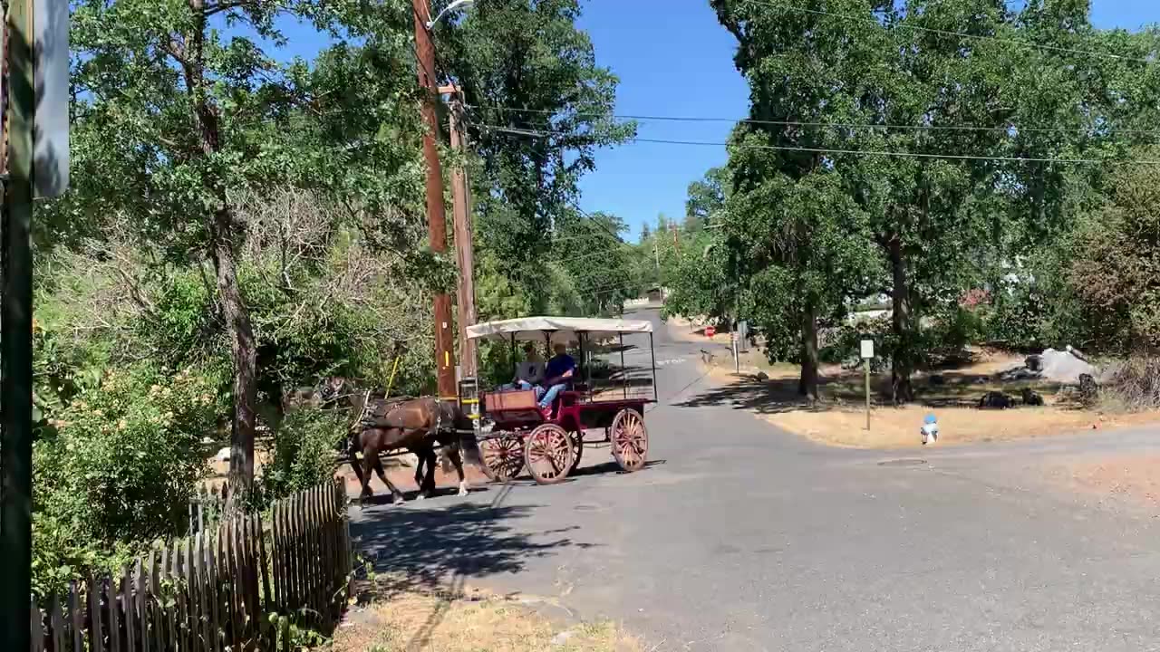 Columbia State Park June 2021