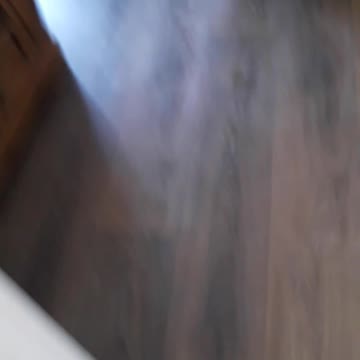 KITTEN PLAYING FOOTBALL WITH KIDS