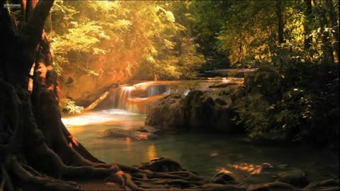 Relaxing Music | Sleeping, Meditation, Stress Relief | [853] ⭐️