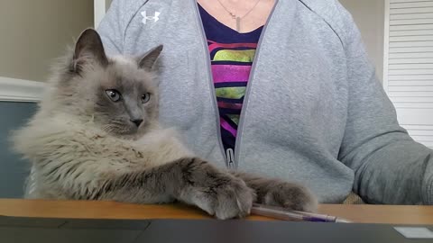 When Your Officemate is the Silent Type
