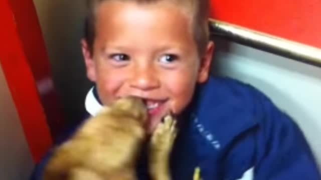 Toddler meets a puppy for first time due to pandemic