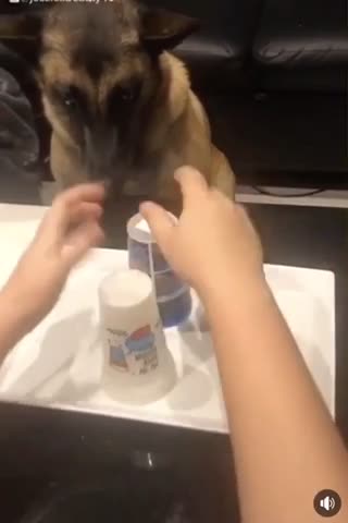 When you realize you’ve made the wrong decision in life