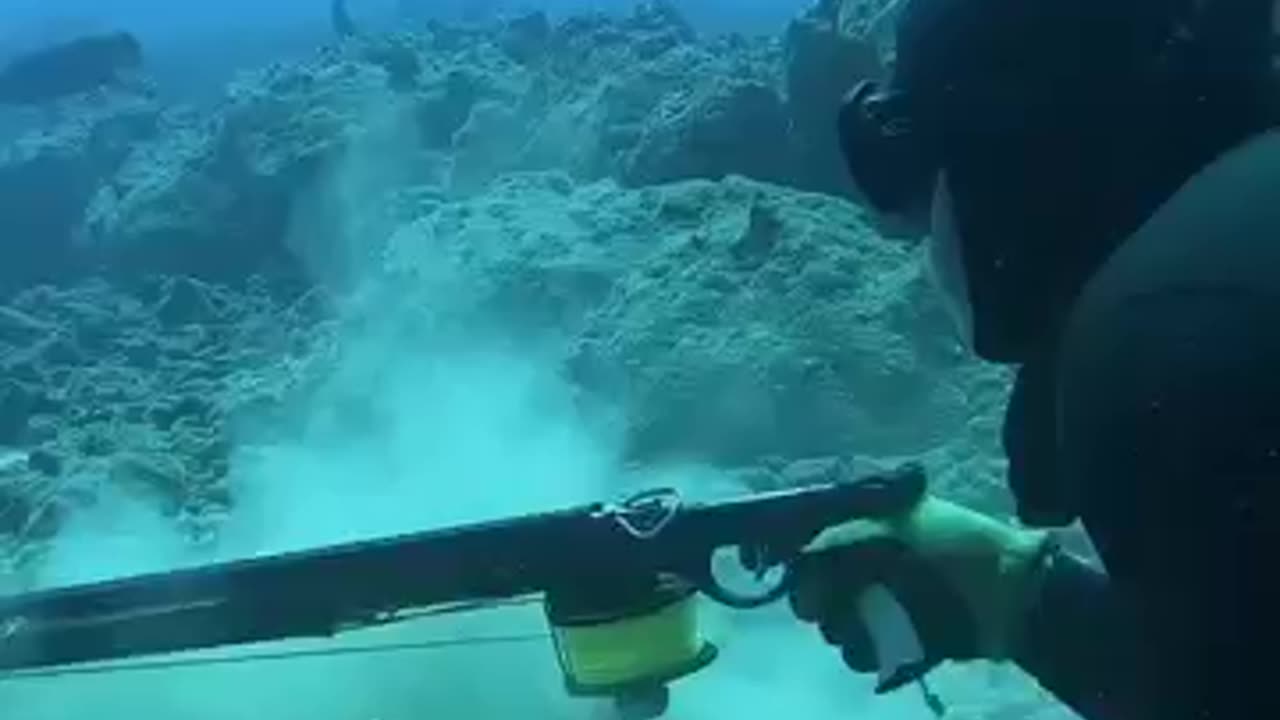 Spearfishing