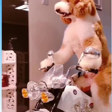 Even I don't have a bike but he have 🤭