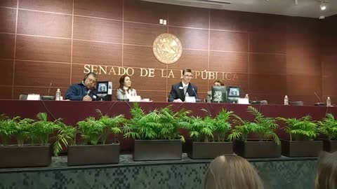 Dr Toby Watson testifying to Senate of Mexico on psychiatric drugs and childrens mental health