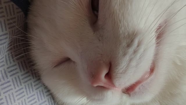 Is this a dream?
