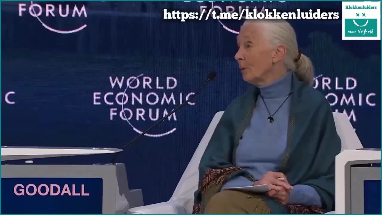 Dito no Fórum Econômico Mundial: