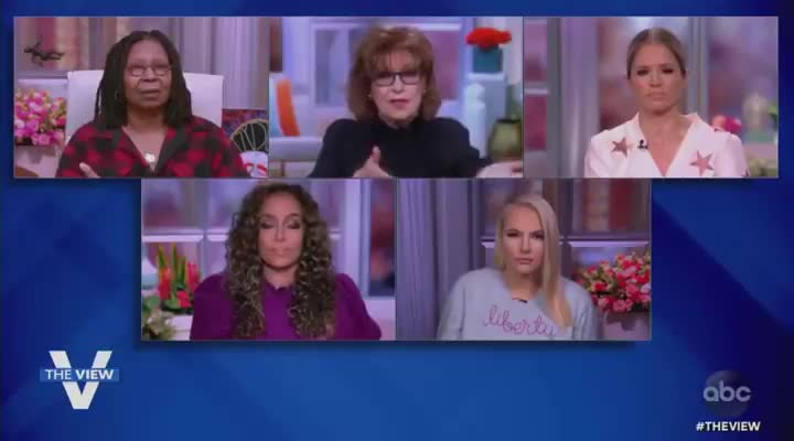 Brainwashed Trump Supporters need to be Deprogrammed: The View Joy Behar