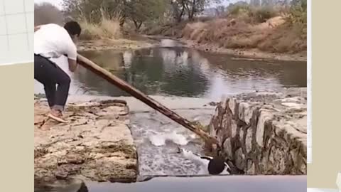 Three idiots