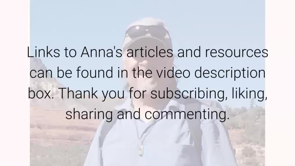 UN Peace Keepers (Chinese Mercenary Forces) or Self Governance - Webinar Video Snippet - Dec 14 2020