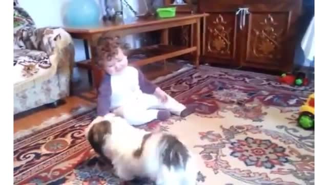 Baby and Dog cute fight - saimasehar22