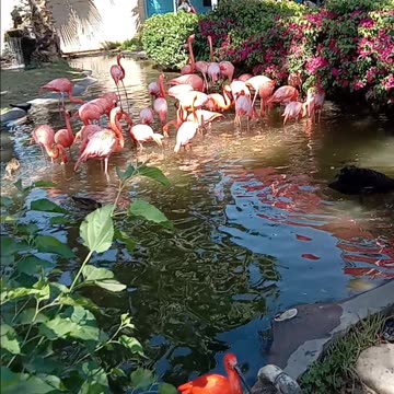 Wildlife World Zoo, Aquarium & Safari Park