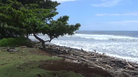 Hilo, HI — Honoli'i Beach Park