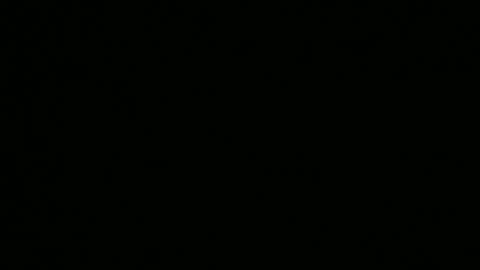 Krafty Kat Hit Rap Song 🤣😂🎹