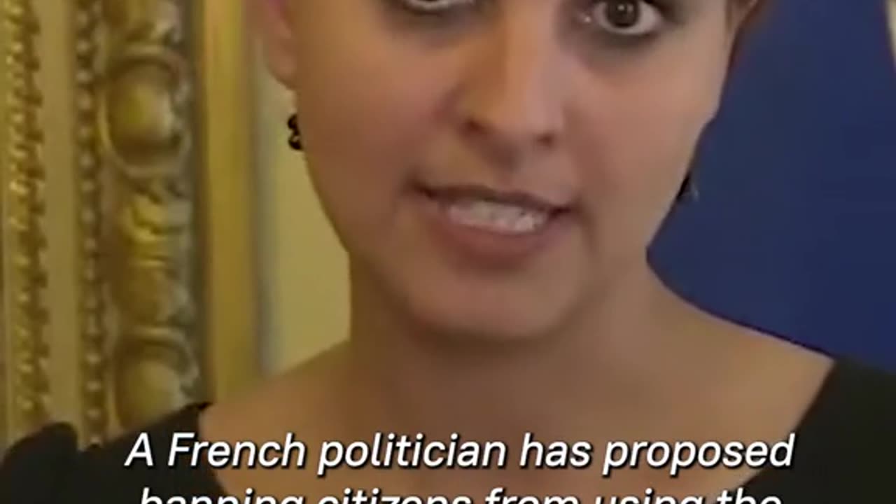 A French politician has proposed banning citizens from using the Internet too much