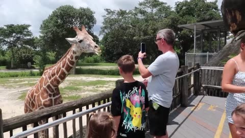 VISITING MIAMI ZOO! WE FED GIRAFFES! _ The Radford Family