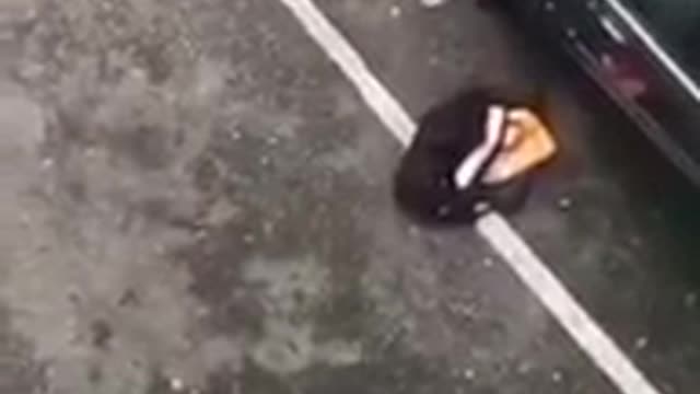 Angry woman tries to demolish boyfriend's car but doesn't see this coming