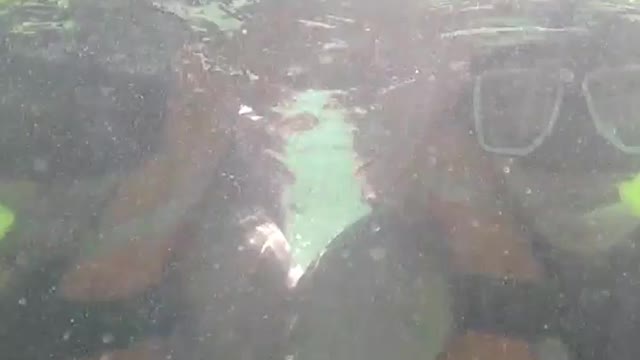 Snorkling Is Much Easier With Sea Scooter