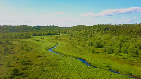 Kelly's Meadow