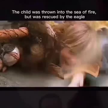 A child was thrown into sea but saved by an Eagle