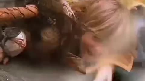 A child was thrown into sea but saved by an Eagle