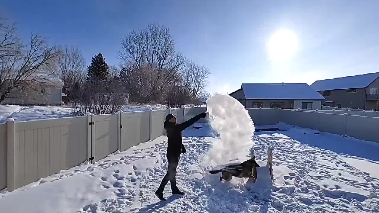 DOG LOVES FROZEN BOILING WATER!!