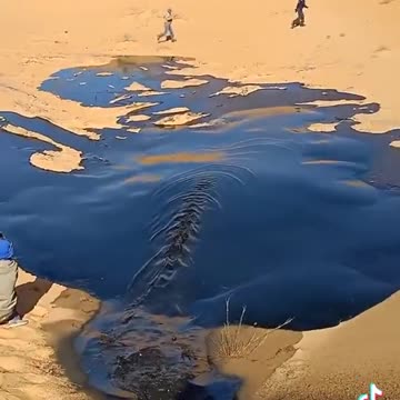 OIL IS AS NATURAL AND ABUNDANT AS WATER.