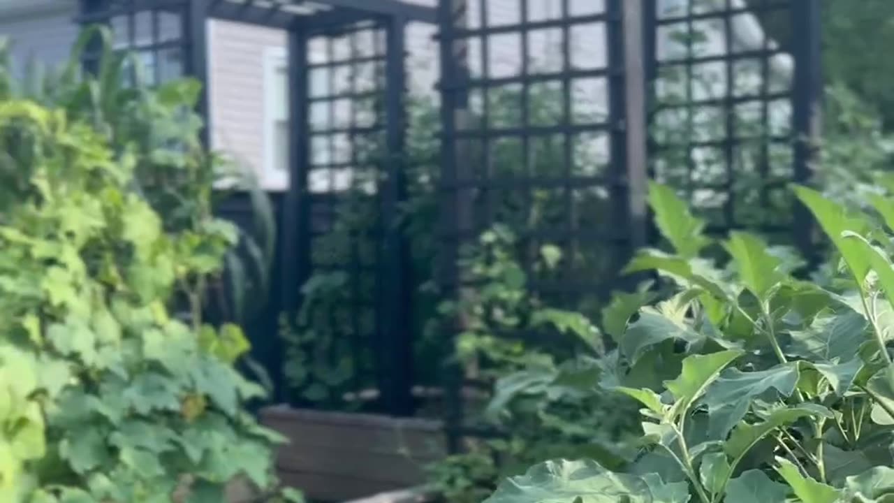 Inspiring Gardens: A Journey with Walther Gardens & Nursery
