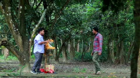 FAKE TIGER VS GIRLS SCARY FUNNY PRANKS FOR LAUGHING! | DHAMAKA FURTI