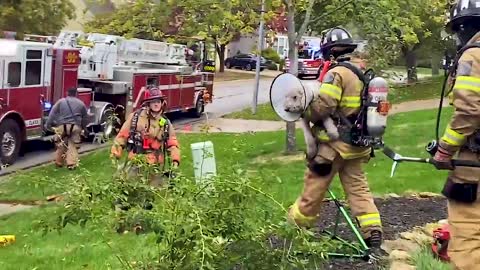 Moment Kansas Firefighter Emerges From Burnt Down Home Carrying Familys Pet Dog