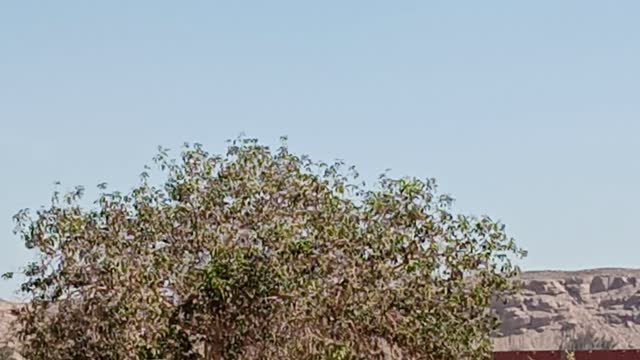 Wonderful mountains in Aswan