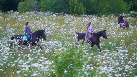 Group of young woman rides on horses in the meadow with flowers