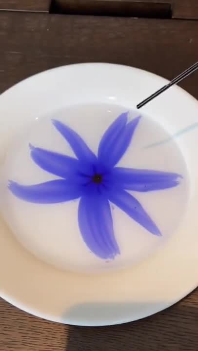 Failed experiment 🧪😂 #shorts #doglover #dog