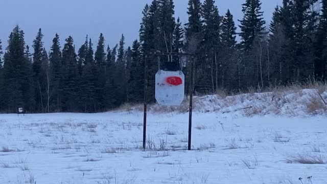 .308 and .223 at Twilight