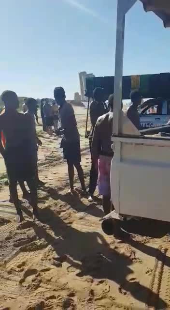 The real truth behind the viral shark attack video