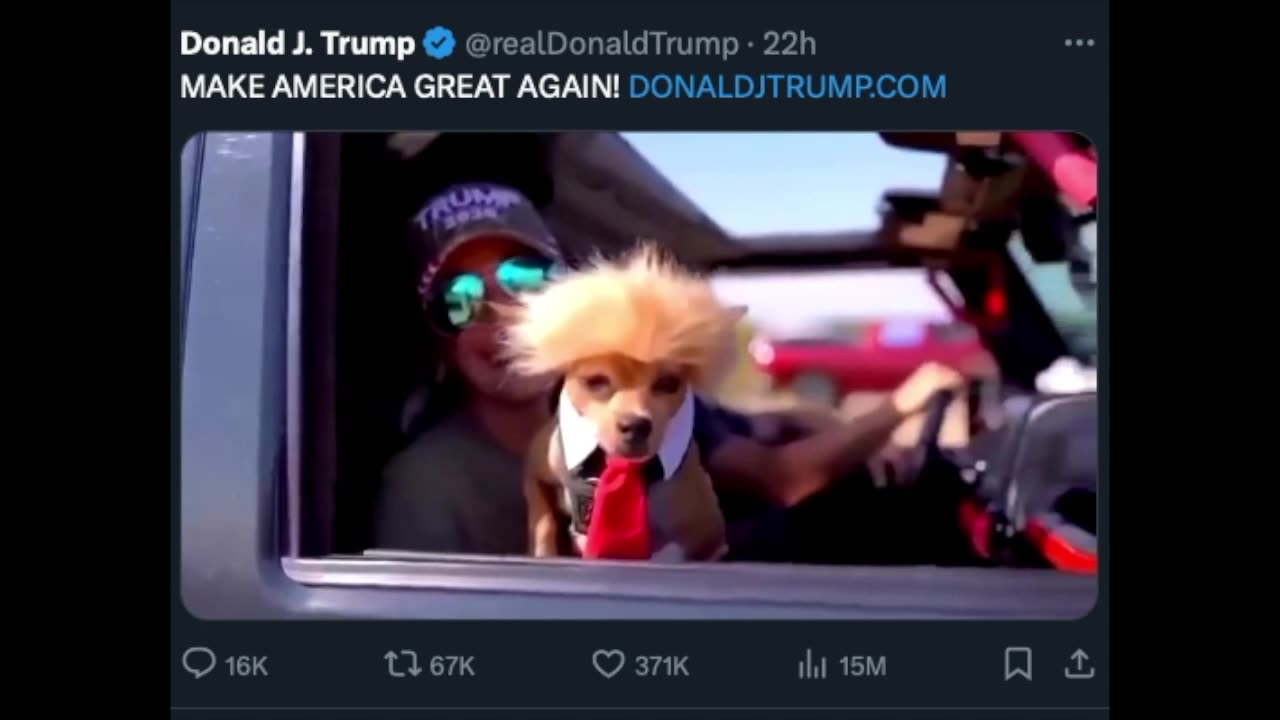 Trump Is Back on X (formerly Twitter)