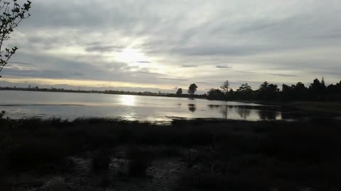 A Beautiful and Relaxing Walk | Weekend Walks Winter Edition