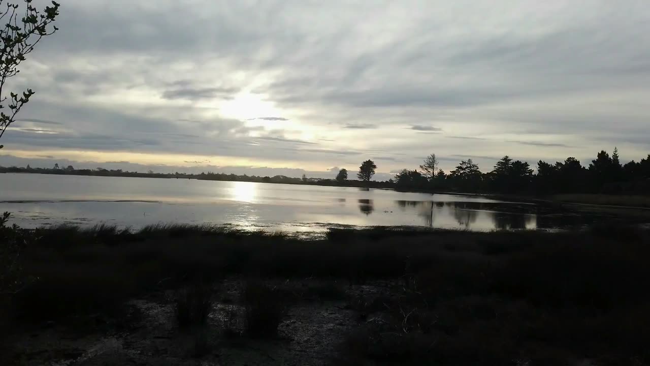 A Beautiful and Relaxing Walk | Weekend Walks Winter Edition