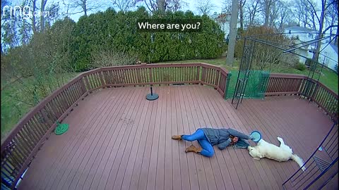 Canine Mistakes Furry Hood For a Toy and Drags Owner Around The Backyard
