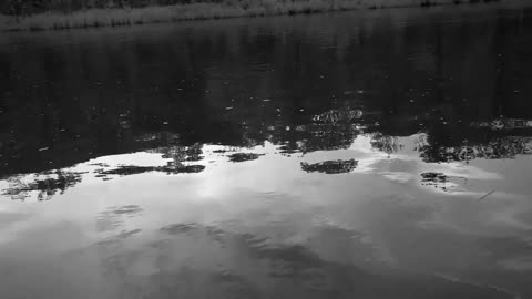 CHILLOUT DARK RIVER
