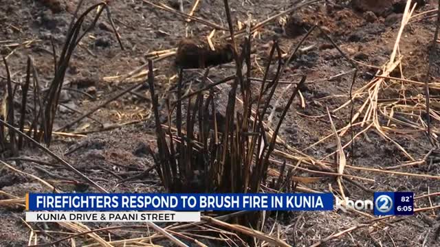 HFD return to the scene of brush fire in Kunia