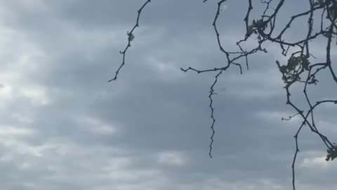 Barrage of rockets fired from Lebanon at Rosh HaNikra. Several Iron Dome
