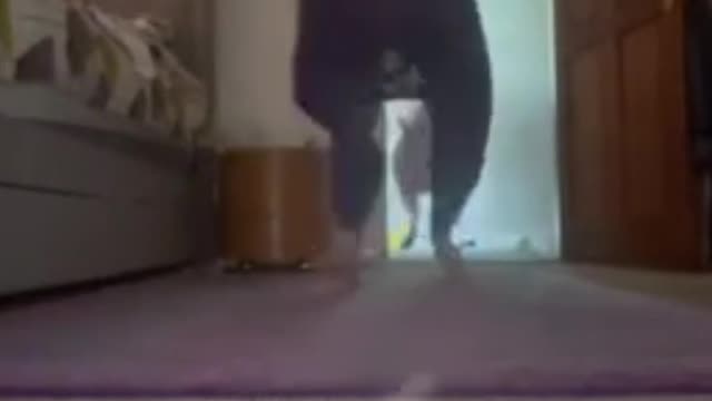 when you try to do a tiktok trend.62